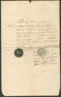 JAKABFA / Lendvajakabfa  1884 . Községi Bizonyítvány, Szép Bélyegzéssel  /  County Certificate  Nice Pmk - Non Classés