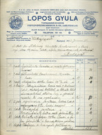 BUDAPEST 1916. Lopos Gyula, Tornaszer , Dekoratív, Fejléces Számla   /  Gyula Lopos, Gym Supplies Decorative Letterhead  - Zonder Classificatie
