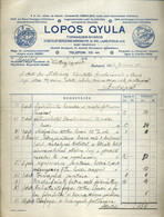 BUDAPEST 1916. Lopos Gyula, Tornaszer , Dekoratív, Fejléces Számla   /  Gyula Lopos, Gym Supplies Decorative Letterhead  - Unclassified