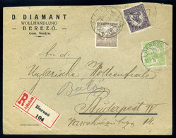 BEREZÓ / Brezová Pod Bradlo 1917. Ajánlott, Vegyes Bérmentesítésű Levél Budapestre Küldve  /  Reg. Mix. Frank. Letter To - Used Stamps