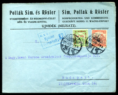 ÚJVIDÉK 1917. Cenzúrázott, Vegyes Bérmentesítésű Céges Levél Budapestre  /  Cens. Mix. Frank. Corp. Letter To Budapest - Oblitérés