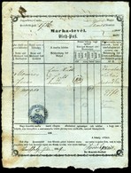 TEMES VÁRMEGYE 1869. Marhalevél  /  TEMES COUNTY Cattle Letter Of Freight - Brieven En Documenten