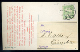 BUDAPEST 1909. Képeslap, Céglyukasztásos Bélyeggel  /  Vintage Pic. P.card Corp. Punched Stamp - Oblitérés
