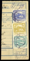 BREZNÓBÁNYA 1919.04.01. Cseh Csomagszállító Szelvény , Felezett Portózással. Ritka Darab!  /  Czech Parcel P.card Receip - Used Stamps