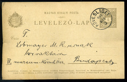 KÖVESLIGET 1901. Díjjegyes Levlap, Szép Egykörös Bélyegzéssel Budapestre  /  Stationery P.card Nice Single Cycée Pmk To  - Covers & Documents