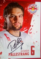 Red Bull  Alexander Pallestrang - Autographes