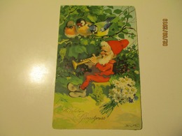 BAUMGARTEN DWARF GNOOM PLAYING PIPE TO BIRDS  , OLD POSTCARD , O - Baumgarten, F.