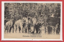 ASIE - SRI LANKA ( CEYLON -- Colombo  - Elephants Au Bains - Sri Lanka (Ceilán)