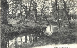 Carte POSTALE  ANCIENNE De  NIEUL - Nieul