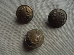 Ancien - Petit Lot 3 Boutons D'uniforme Militaire (dorés) - Boutons