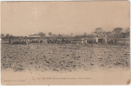 Guinée  Française :  YRI - KIRI  ;  Ferme  Labour (  Destinée  à  Ussy  ) - Guinée Française