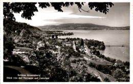 Schloss Arenenberg - Blick Von Der Terrasse Auf Untersee (12155) - Otros & Sin Clasificación