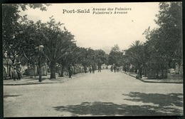 PORT SAID / AVENUE DES PALMIERS / PALMTREE'S AVENUE - Port Said