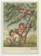 SETTEMBRE  BAMBINI -  RACCOLTA  FRUTTA VIAGGIATA FG - 1900-1949