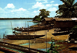 Guyane Saint Laurent Du Maroni Le Village Chinois Au Bord Du Maroni  CPM Ou CPSM - Saint Laurent Du Maroni