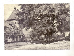 Delcampe - A 9872 MILLSTATT, Alte Linde, Künstler-Karte H.Darnaut - Millstatt