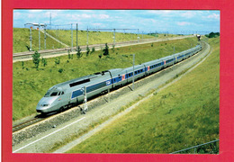 CROISILLES 2000 T.G.V. AU NIVEAU DU P.R.C.I. DE CROISILLES CARTE EN TRES BON ETAT - Croisilles