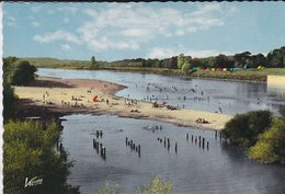 45-----CHATILLON SUR LOIRE---la Plage----voir 2 Scans - Chatillon Sur Loire