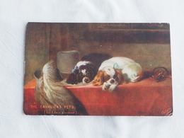 The Cavaliers Pets  Dogs Sir Edward Landseer  A 203 - Honden