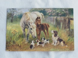 Dogs And Horse Oilette 8646 Stamp 1921  A 203 - Honden