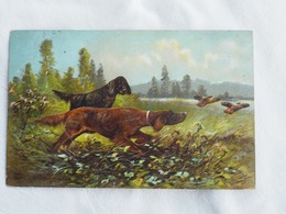 Dogs Ducks  HUNTING  Stamp 1912 A 203 - Dogs