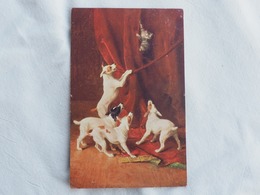 Dogs And Cat Stamp 1919 A 203 - Dogs