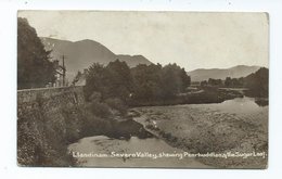 Wales Montgomeryshire Llandinam  Rp Showing Penrhuddlan And The Sugar Loaf 1915 - Montgomeryshire