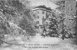 74-CHAMONIX- MONT-BLANC- PARC DU GRAND HÔTEL DES ALPES - Chamonix-Mont-Blanc