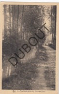Postkaart/ Carte Postale GRIMBERGEN Le Maelbeek Près De Grimberghen (O897) - Grimbergen