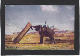 CPA éléphant écrite éditeur Tuck's Oilette - Éléphants