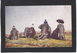 CPA éléphant écrite éditeur Tuck's Oilette - Elephants