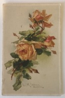 ROSE ILLUSTRAZIONE DI KLEIN CATHARINA 1914 VIAGGIATA FP - Klein, Catharina