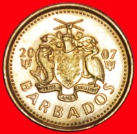 + GREAT BRITAIN (2007-2018): BARBADOS ★ 5 CENTS 2007 MAGNETIC UNDESCRIBED! LOW START ★ NO RESERVE! - Barbados (Barbuda)