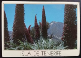 Delcampe - TEIDE, Volcano - TENERIFE - Islas Canarias  - Vg S2 - Tenerife