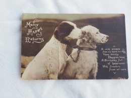 Many Happy Returns  Dog Stamp 1909 A 203 - Hunde