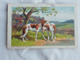 Chiens Courants De Gascogne  Dog Stamp 1905 A 203 - Dogs