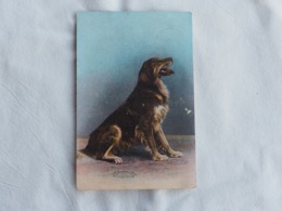 Dog  Stamp  1908   A 203 - Hunde