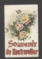 Themes Div-ref CC185- Souvenir De Eschweiler / Veritables Paillettes Dorées Et  Dorures /-leger Pli Haut Gauche - - Eschweiler