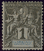 * "MARTINIQUE" En Bleu. No 31a. - TB. - R - Autres & Non Classés