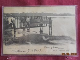 Carte Du Congo Avec Timbre Du Bénin De 1903 (chasse Au Crocodile) - Storia Postale