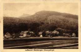 CPA AK Luftkurort STEINBERGEN (865103) - Rinteln