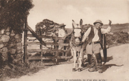 Normandie : Encore Une Automobile ( Attelage - Ane ) - Haute-Normandie