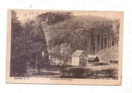 3370 SEESEN, Forsthaus Neckelnberg, 1920 - Seesen