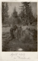 CPA 2766 - MILITARIA - Carte Photo Militaire - Soldat Robert MOCK ( Alsacien ) Dans Une Forêt En Russland ( Russie ) - Personaggi