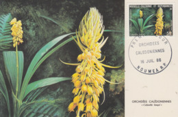 Carte  Maximum  1er Jour   NOUVELLE CALEDONIE   Orchidée  Calédonienne   1986 - Maximumkaarten