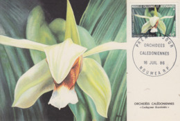 Carte  Maximum  1er Jour   NOUVELLE CALEDONIE   Orchidée  Calédonienne   1986 - Cartes-maximum
