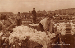 76-LE HAVRE- CARTE-PHOTO- L'ECHANTILLONNAGE DU COTTON - Harbour