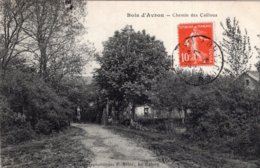 S2761 Cpa 93 Bois D'Avron - Chemin Des Cailloux - Sonstige Gemeinden