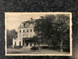 Delcampe - WIELSBEKE - Vogelzang Hernieuwenburg - Foto Daniel Oostrozebeke - Wielsbeke