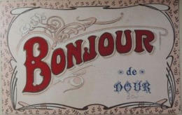 Dour Un Bonjour Carte Fantaisie (Timbre 110 5c Armoiries "Lion Debout") - Dour